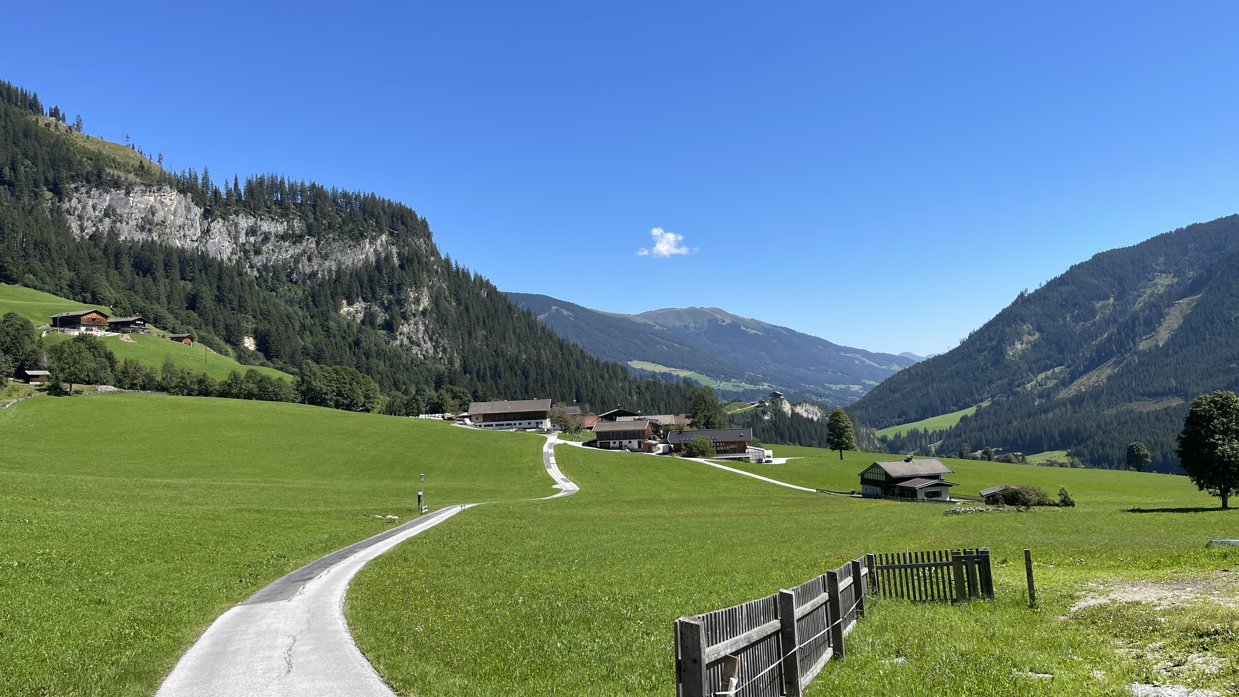 Galeriebild