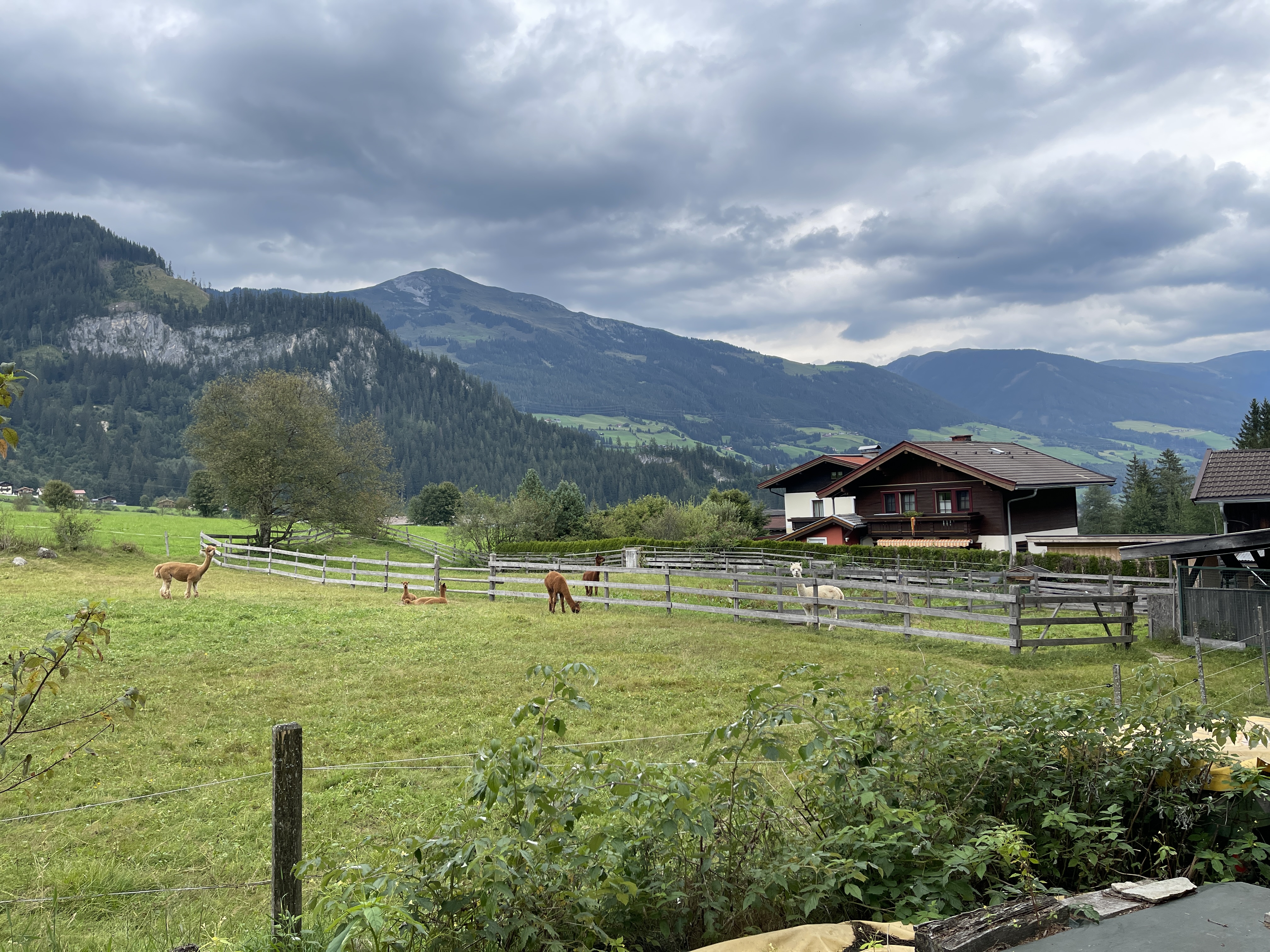 Galeriebild