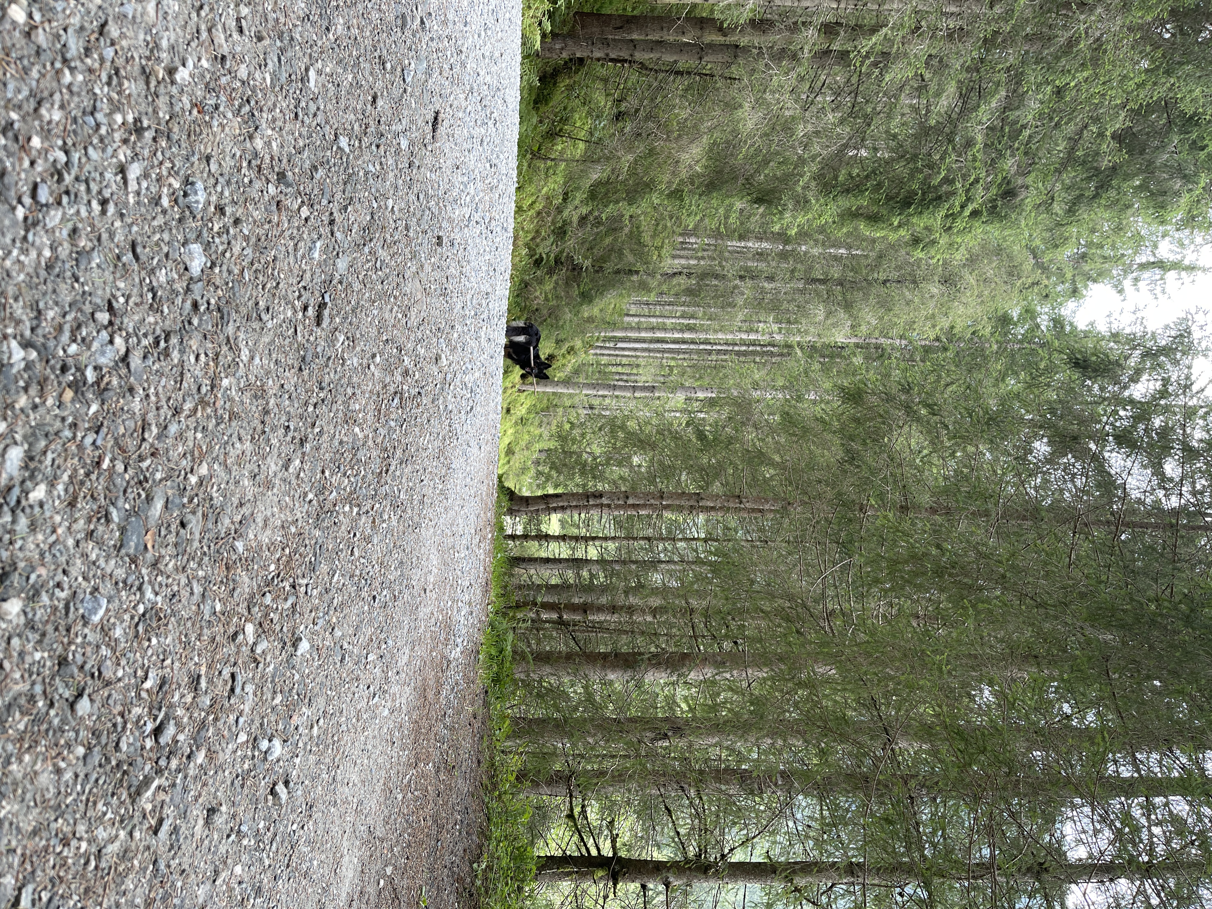 Galeriebild