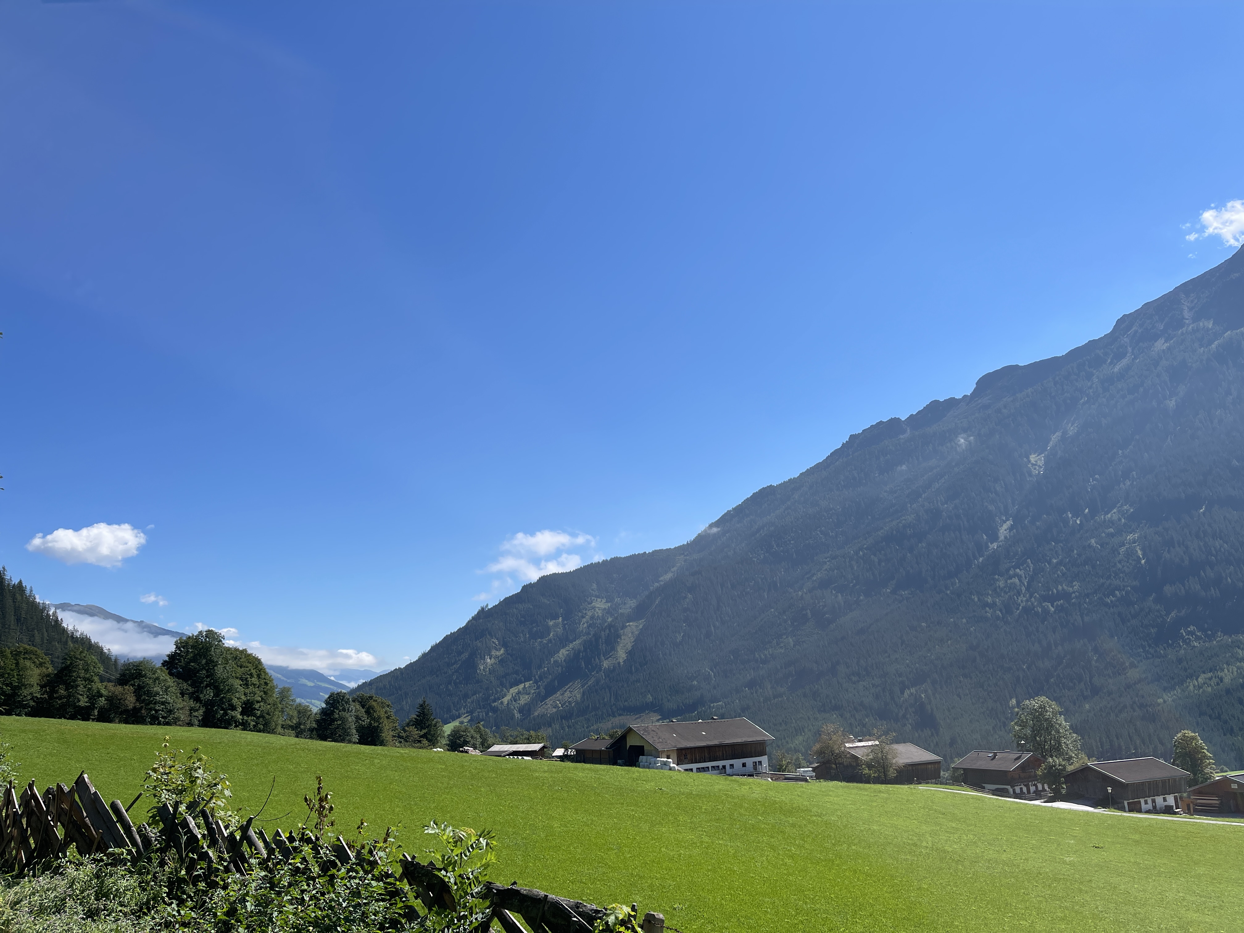 Galeriebild
