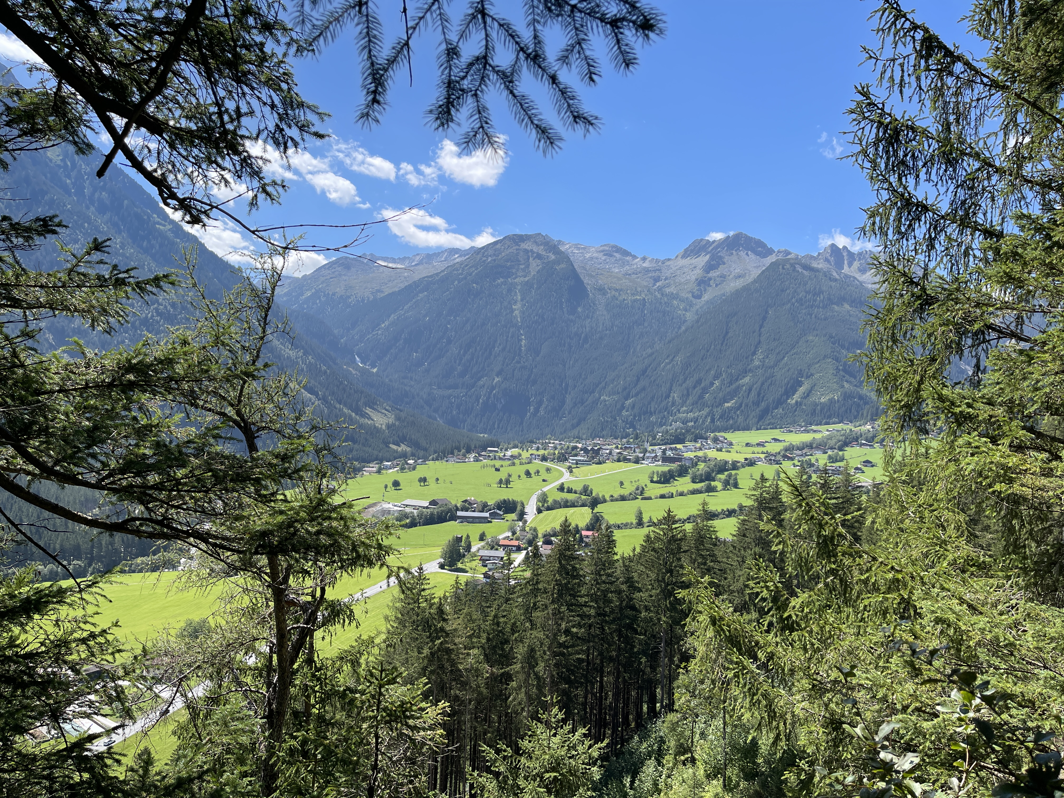 Galeriebild