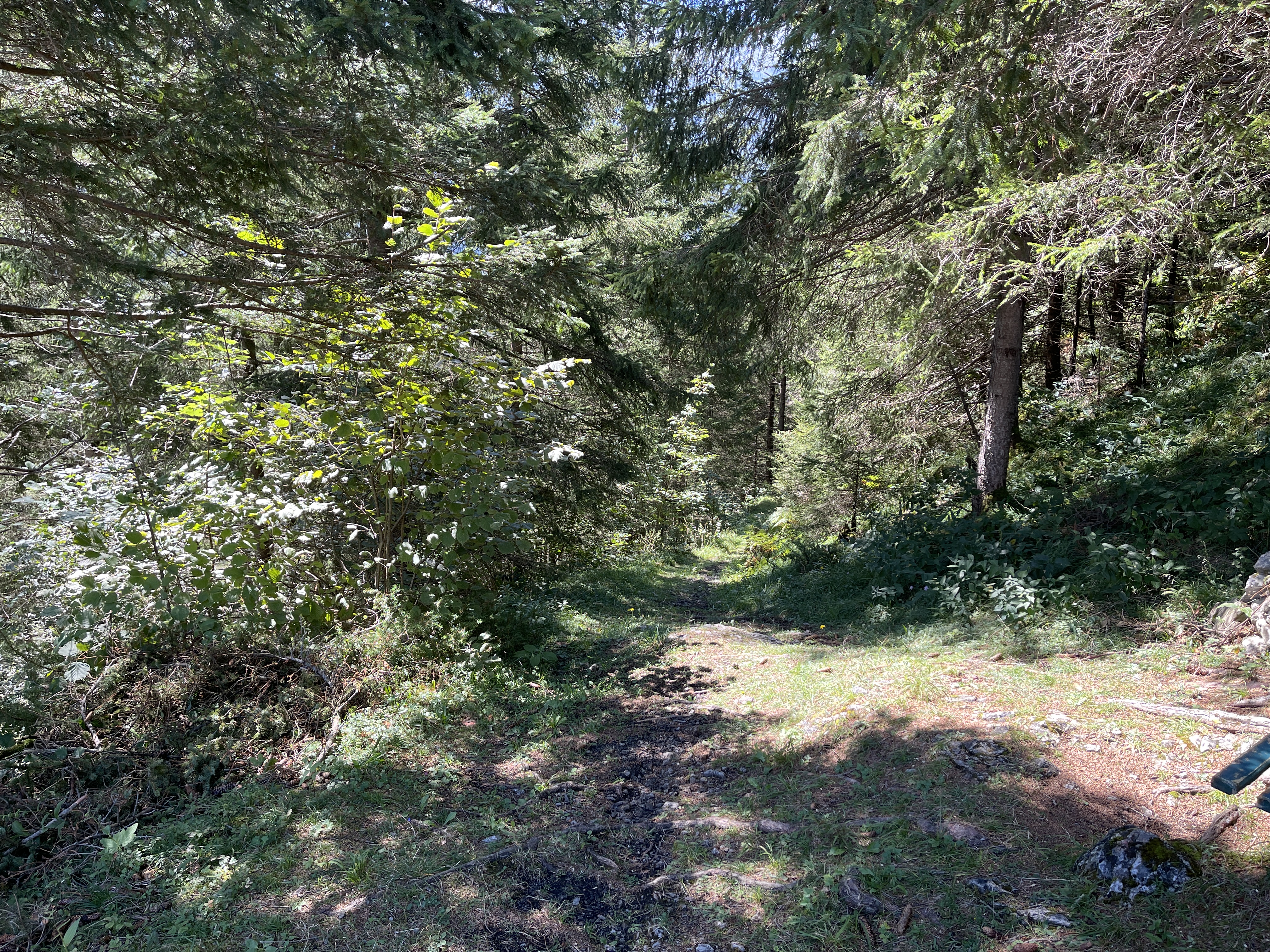 Galeriebild