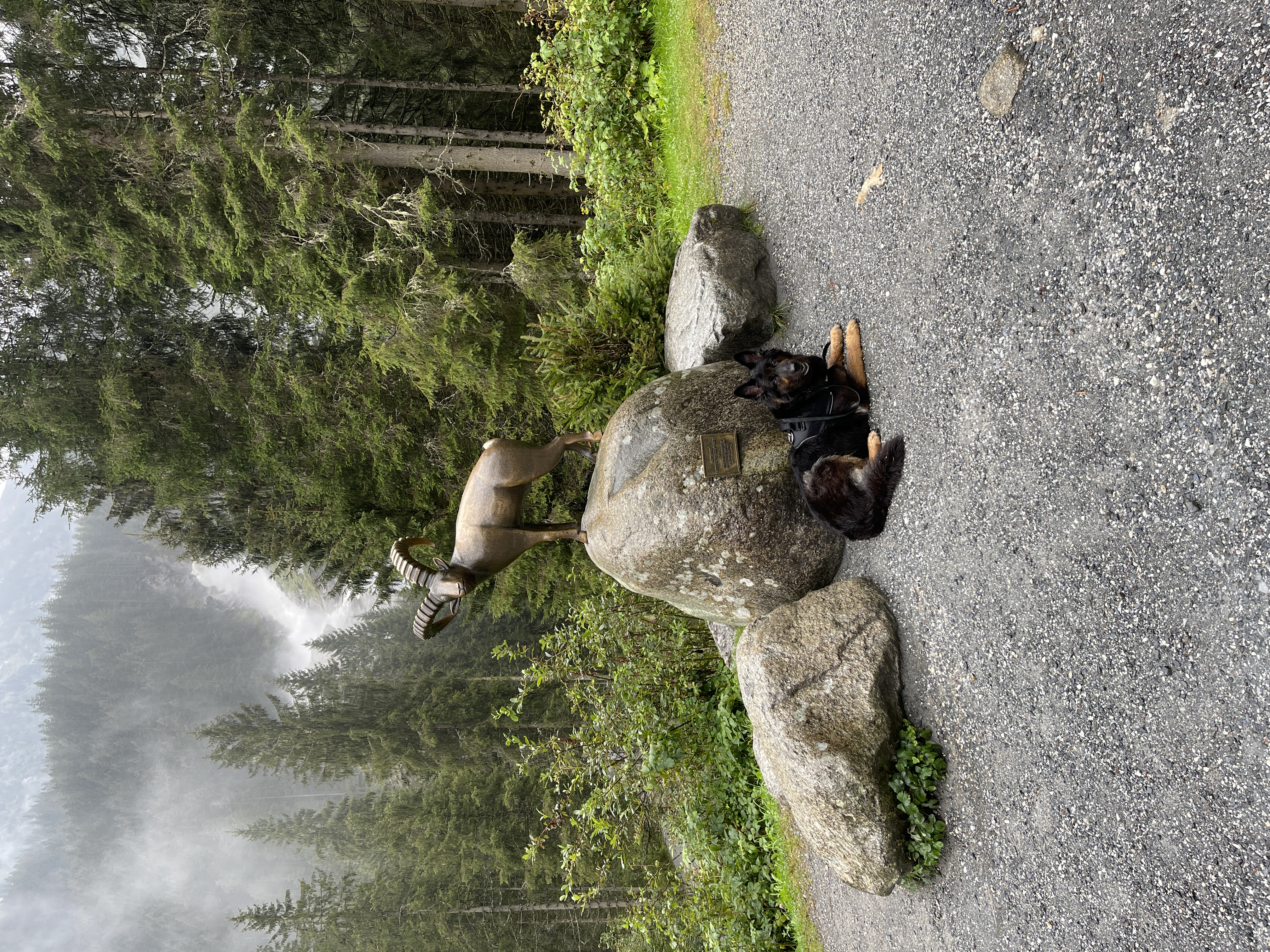 Galeriebild
