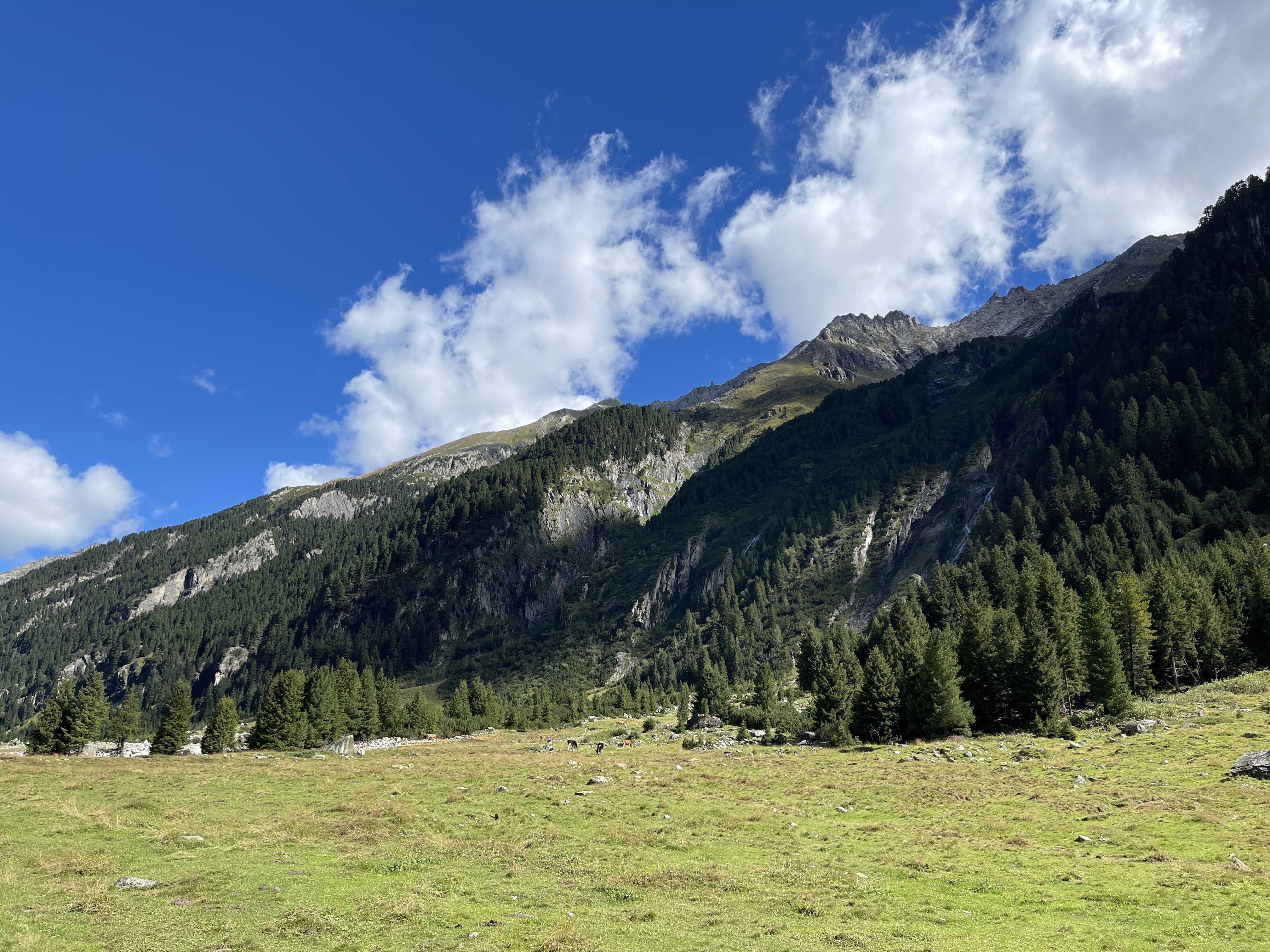 Galeriebild