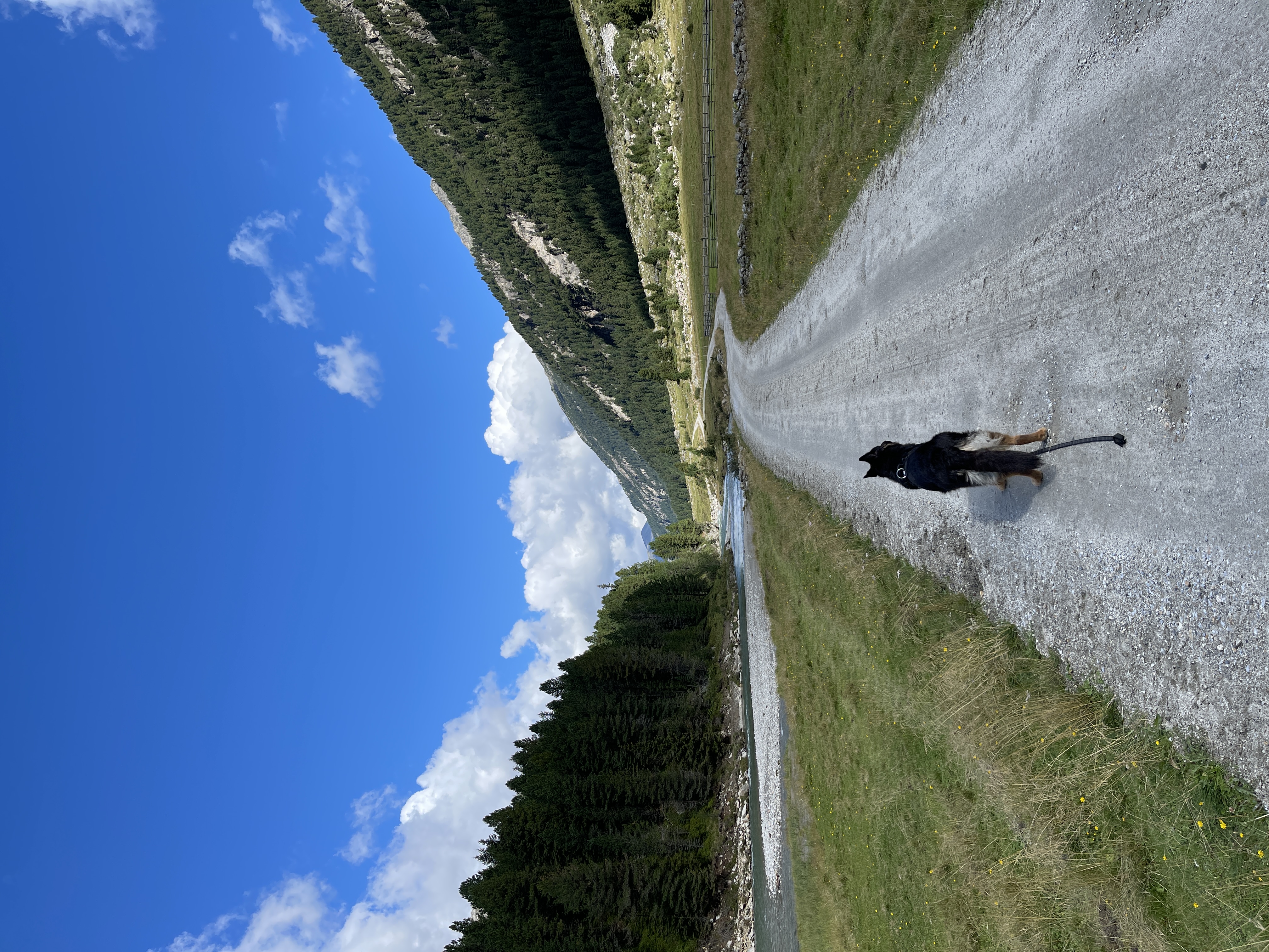 Galeriebild