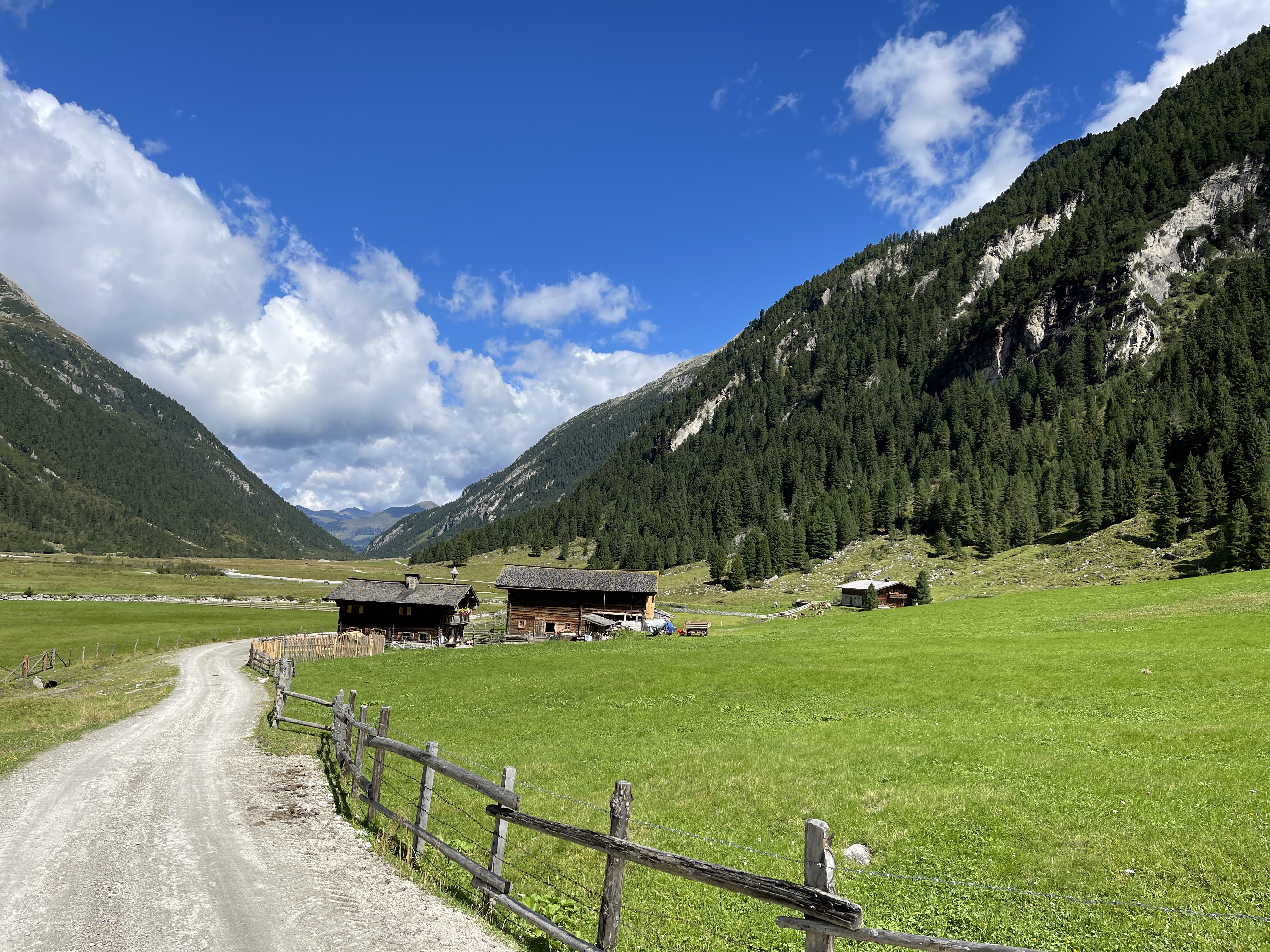 Galeriebild