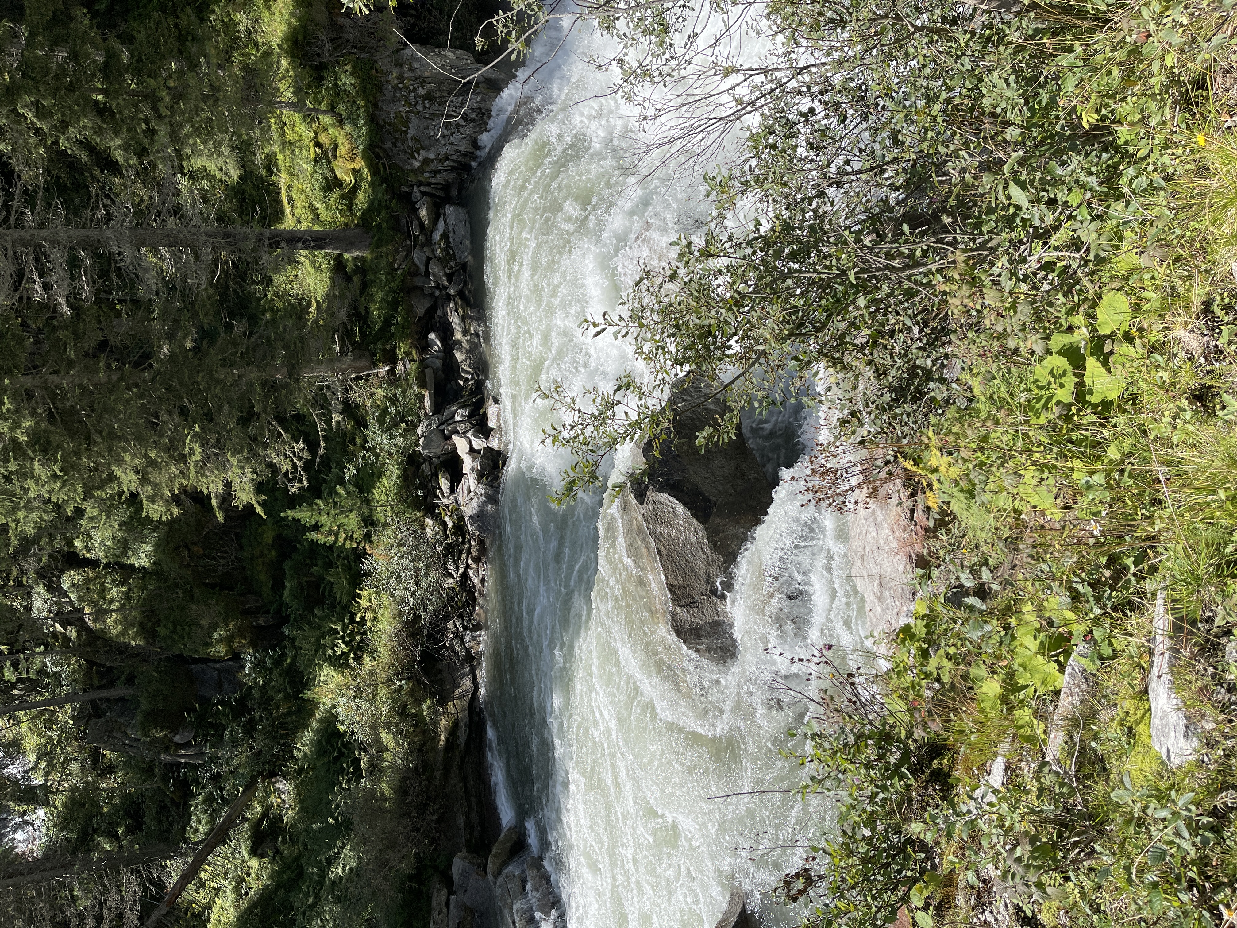 Galeriebild