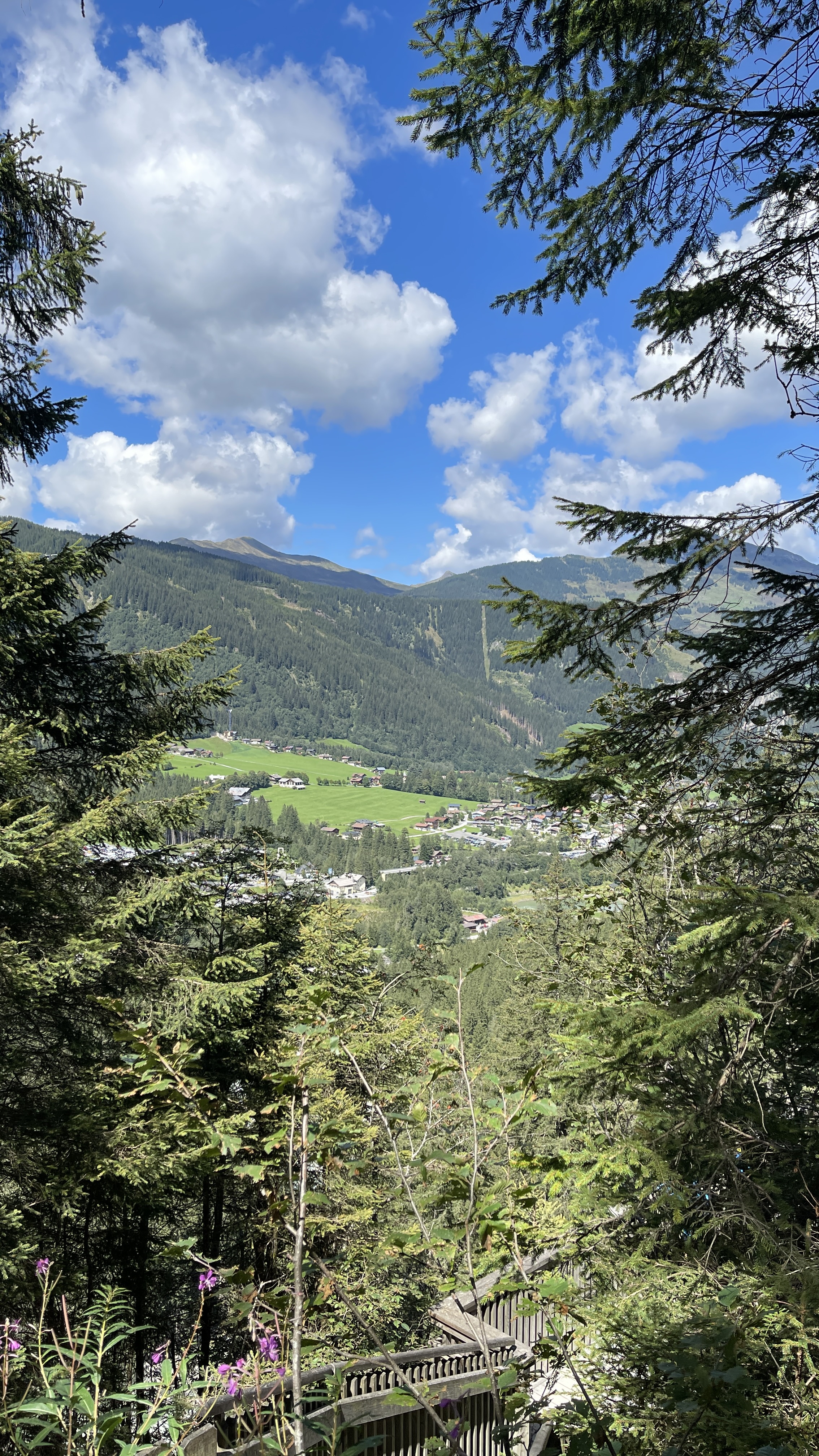 Galeriebild